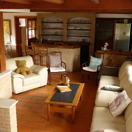 Modern In With Garden *