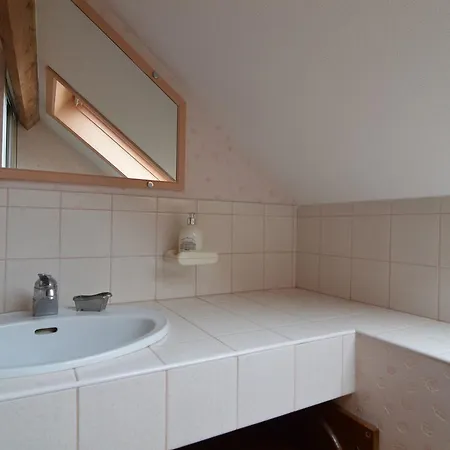 Modern In With Garden