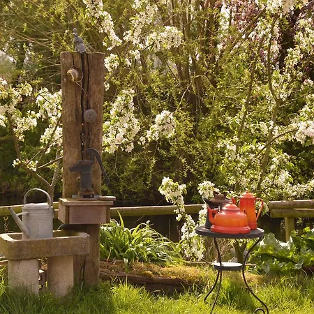 Modern In With Garden